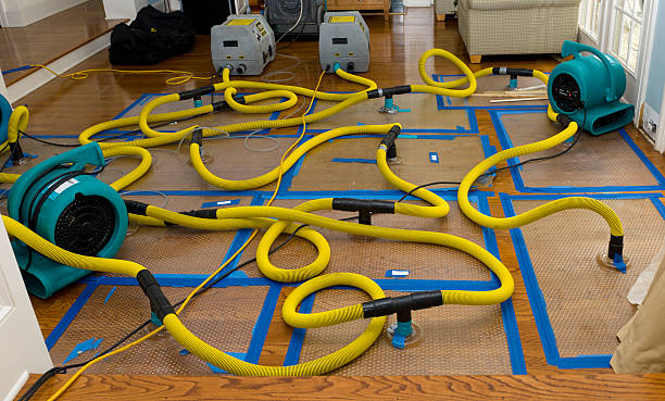 Professional Crawl Space Water Removal technician working in Norwood, MA